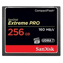CF-EPRO 256GB 샌드디스크 삭제된 사진 비디오 쉽게복구 RescuePRO 소프트웨어
