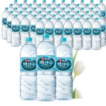 백산수 생수 2L 60개 먹는샘물 백두산물 농심 가정용 요리용 미네랄워터, 상세페이지 참조, 상세페이지 참조