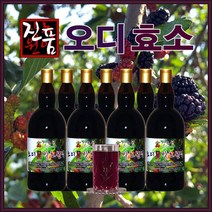 장녹원 오디효소 110ml, 2병