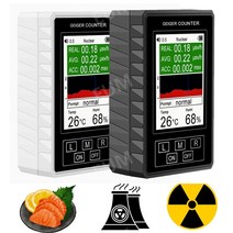 휴대용방사능측정기 가정용 방사선 검출기 계측기 측정기 테스터 탐지기 수산물 식품 4종, B.BR-9B XR-1 프로