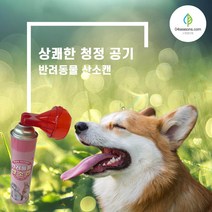 반려동물 반려견 산소호흡기 산소캔 산소방 고양이 강아지 네블라이저 816ml