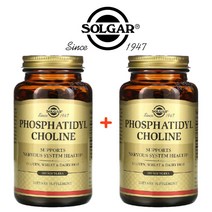 (1+1) 솔가 소이 대두 레시틴 포스파티딜콜린 Phosphatidylcholine 840mg 100정 2팩