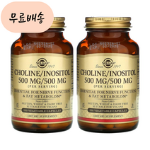 솔가 콜린 이노시톨 500m.g 100개 2통 주석산수소콜린, 2개, 100정