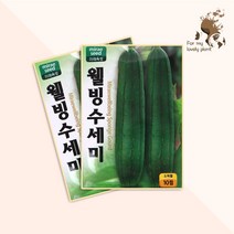 웰빙수세미 10립 미래종묘 열매채소류 씨앗, 1개