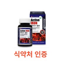 네추럴라이즈 액티브 철분 100캡슐 철분 영양제 철분 보충제 헤모그로빈 비헴철 임산부 철분 청소년 가임기 여성 철분제 캐나다 대용량 영양제 온가족 에너지생성 필수영양소 철분제, 1통, 100캡슐X2개