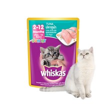NEW 위스카스팩 파우치 주니어 참치 80gx24개, 80g, 24개
