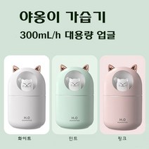 야옹이 가습기 애완 고양이 300ml 대용량 미니 가습기 USB가습기 무드등 필터 5개 포함 KC인증 대량 구매, 야옹이가습기, 민트, 30-40mL/300mL