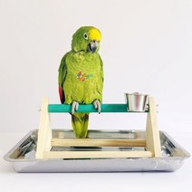 중소형 앵무새 원목 놀이터 그네 사다리 막대기 선반, N713 삼각거치대 세트:거치대 컵받침