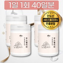 인도산 검레진 100% 보스웰리아 보수엘리아 보스엘리 보이스웰리아 우유에 타먹는 요거트 드레싱 샐러드 레시피 후기 가성비 맛있는 프랑킹센스 나무 수액 껍질 원물 덩어리 함량 추천