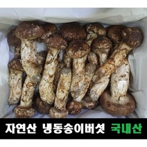 송이버섯 자연산 냉동 국내산, 2등급(7~12송이,크기랜덤) 500g, 1개
