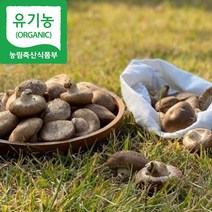 [해담은농장] 유기농 생표고버섯 1kg/4kg 국내산 참나무, 1개, 중품1kg