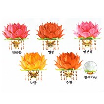 부자기도등 - 5색세트 10개 (전기선 전구 고급등표포함) 고급연등, led전구