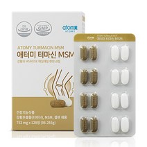 애터미 터마신 MSM 강황추출물