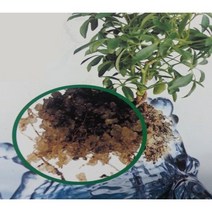 관리제 / 토양보습제(테라코템) 230g / 2kg, 토양보습제 (테라코템) 230g / 4개