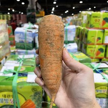 경매직송 당근 식자재용 대용량 20kg, 알뜰형, 220-350g (특)