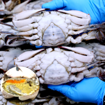 [안군수산] 국산 연평도 알배기 암꽃게 급냉 냉동 꽃게, 4. 급냉 알배기암꽃게 대 5kg(15~20미), 1개