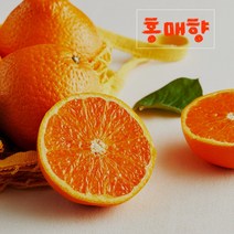 고당도 제주홍매향 홍매향 썬레드 3kg 5kg 선물용, 홍매향(썬레드) 선물용 5kg (25과내외)