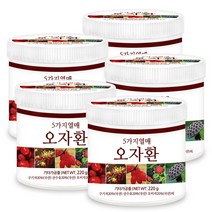 푸른들판 오자환 오미자 복분자 산수유 구기자 연자육 환 추천, 220g, 5통