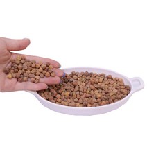원플원 수입 잡곡 호주 검은 병아리콩 500g+500g, 단품, 단품