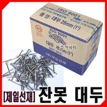 동주커넥터 제일선재 대두못 큰머리못 잔못 1갑 3kg 작은못 미니못, 25mm(1인치)