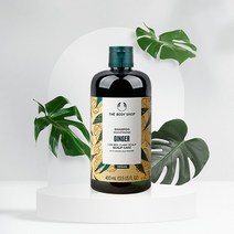 더바디샵 진저 스캘프 케어 샴푸, 400ml, 1개