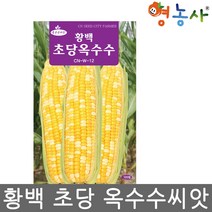 황백 초당옥수수 씨앗 100립, 황백초당옥수수씨앗, 1개