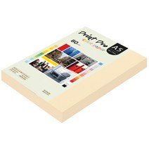 종이문화 프린트프로 칼라복사지 A5 80g No.02 아이보리 250매