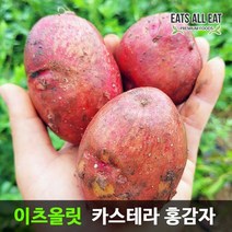 이츠올릿 빨간 카스테라 홍감자 붉은 자색 자주색 보라 포슬 햇 감자 산지직송 택배 3kg 5kg 10kg, 홍감자 특대혼합