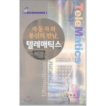 자동차와 통신의 만남 텔레매틱스, 진한엠앤비