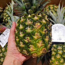 허니 미니 파인애플 (개당 약1.1kg), 10개