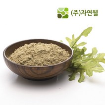 자연웰 100% 국산 함초가루 300g 함초분말 함초, *1