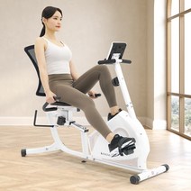 좌식 실내자전거 706R 화이트 온가족 헬스자전거, 단품