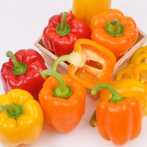 [무료배송]가정용 파프리카 빨강노랑혼합 1kg/2kg, 01번 가정용 파프리카 1kg (빨강노랑혼합)
