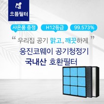 AP-3008FH필터 웅진코웨이공기청정기호환필터, 단품