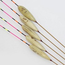원용 뚱딴지 금란 순부력230%이상, 50cm