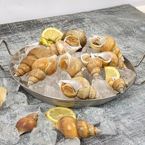[산지직송] 자연산 동해안 백골뱅이 1kg (중20-30미), 단품