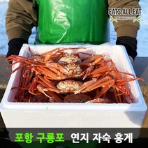 이츠올릿 포항 구룡포 연지 자숙 홍게 4kg 대구 울진 박달 대게 울산 영덕 홍개, 일반용 B급_3kg 12미 (수율 70%내외)