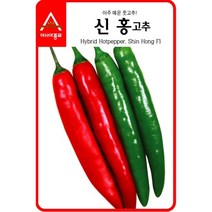 신홍고추 700립 고추씨 씨앗 대장 아시아종묘