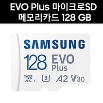 삼성전자 EZVIZ C6C 마이크로SD카드 128G EVO PLUS MicroSD, 128GB