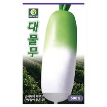 새로나 봄배추 300립 - 씨 씨앗 봄배추씨앗 봄배추씨 채소씨 채소씨앗 배추씨앗 배추씨, 10_다농_대물무(500립)
