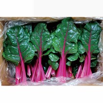 야채왕 적근대 2kg(실중량1.8~2kg)