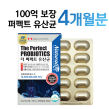 프로바이오틱스 100억 알약 유산균 유해균 억제 유산균 증식 프리바이오틱스 장 건강 도움 포스트바이오틱스 하루 1알 알약 임산부 온가족 유산균 다니스코 5세대 4세대, 4개월분, 510mg x 60캡슐 (하루 1캡슐)