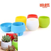 원형 화분 중 다육화분 꽃화분 거실장화분, 블루