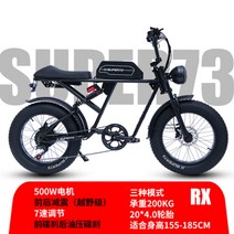 전기 팻바이크 파방모터 자전거 강아지 mtb 배달용 트렉 접이식 삼륜 2인용 출퇴근, 48V, 13AH, RX1:1 유압디스크브레이크/그래핀리튬전지