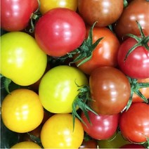 스테비아 오색 칵테일 방울토마토 복숭아맛 /BFK, 1.1kg(550g 2팩)