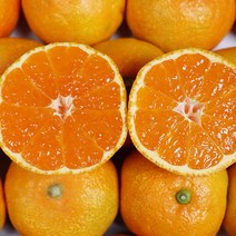 추석선물세트고당도귤 제주하귤 3kg 2kg추석귤, 제주 하우스귤 선물용 3kg 31-48과