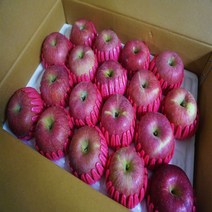 [경북사과]고당도 알뜰 햇사과 특가행사 가정용, 1box, 02.가정용 사과 2kg중과