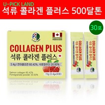 저분자 피쉬콜라겐 펩타이드 석류콜라겐 캐나다 연어콜라겐 500달톤 콜라겐C 먹는 히알루론산 엘라스틴 가루 분말 스틱 터키산 석류 여성갱년기 엘라그산 비타민C 효능 추천, 1개