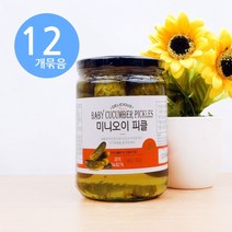 딜리셔스 미니 오이 피클 500g x12개