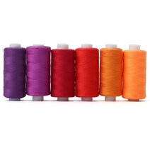 바느질 스레드 키트 6Roll/세트 DIY 재봉 용품 자수 기계 액세서리 용 스레드 홈 재봉 도구, 빨간 시스템